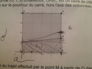 FullSizeRender (1).jpg