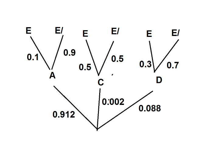 arbre dm 4.png